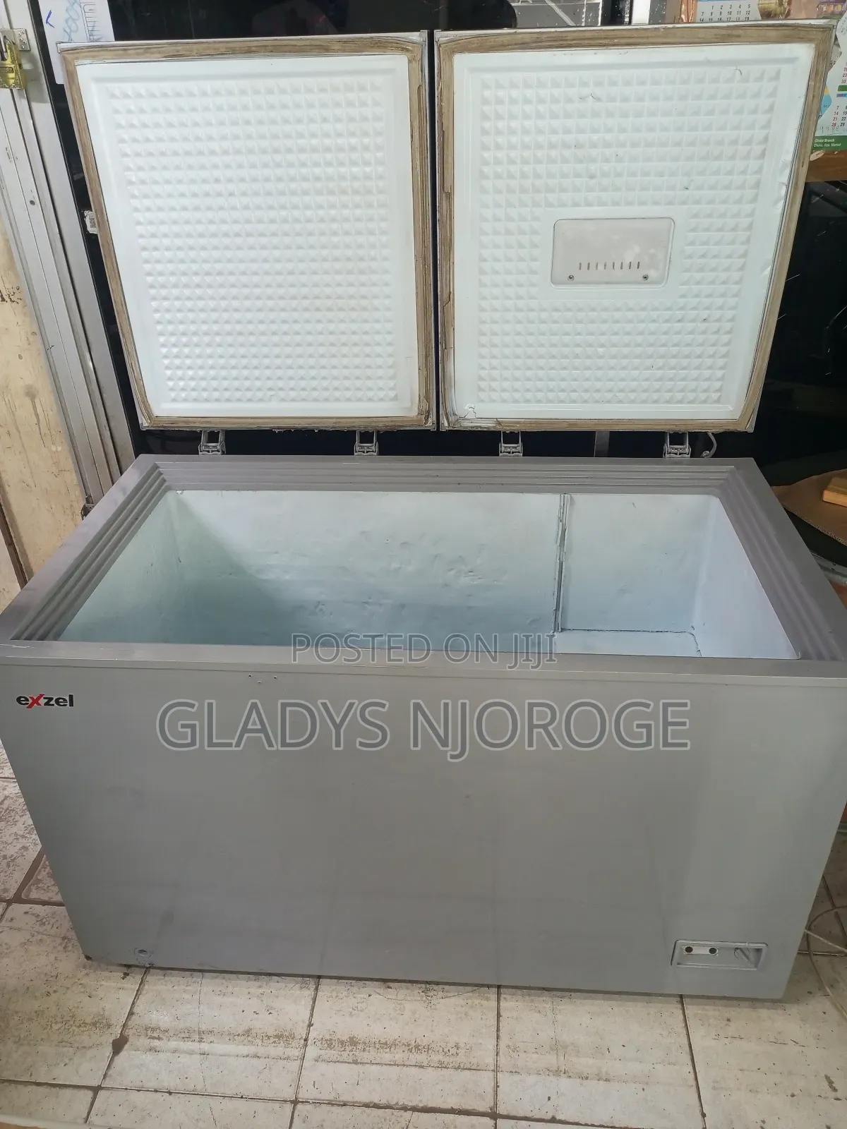 Premier Silver Deep Freezer Fridge