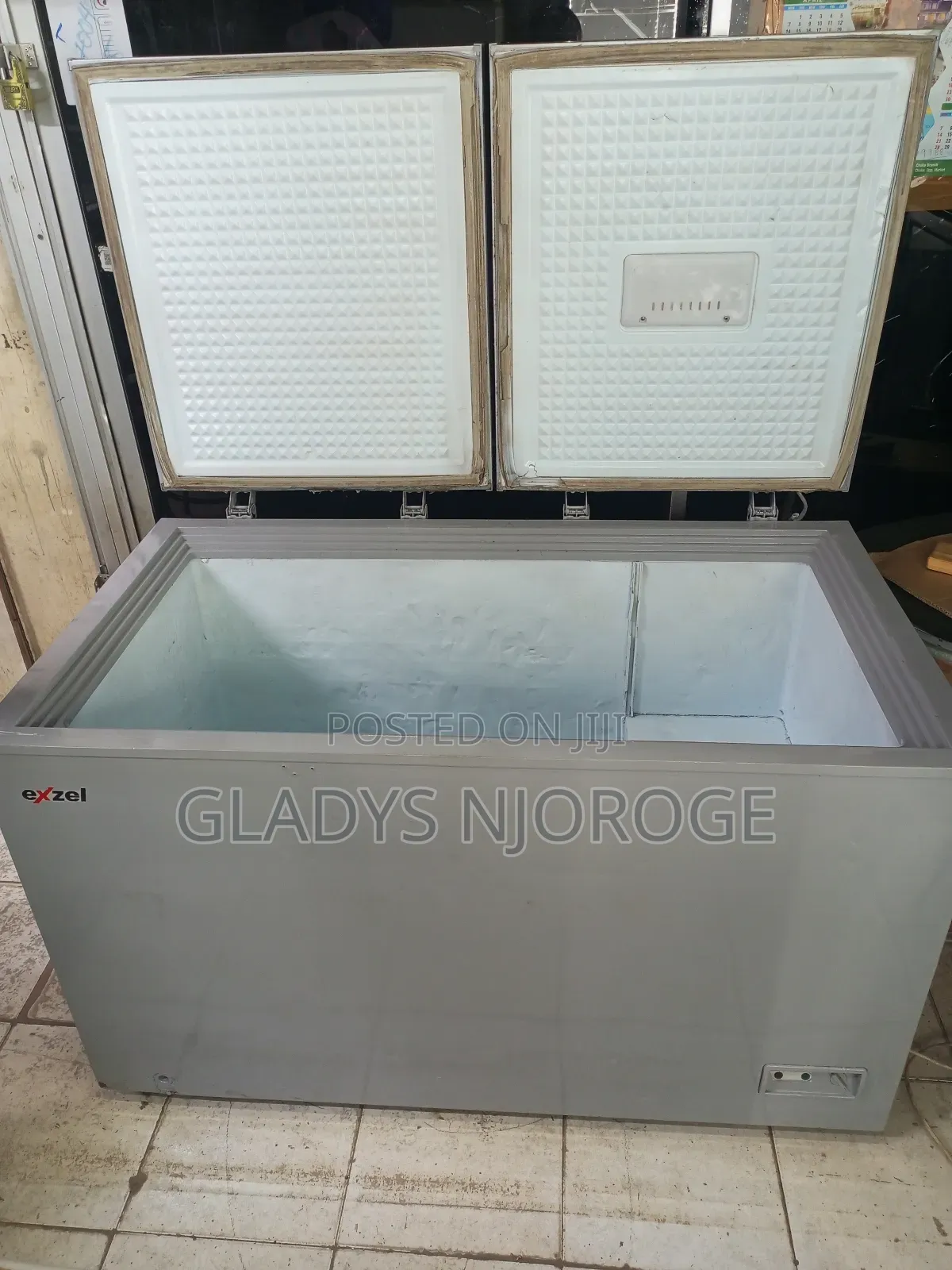 Premier Silver Deep Freezer Fridge