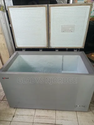 Premier Silver Deep Freezer Fridge