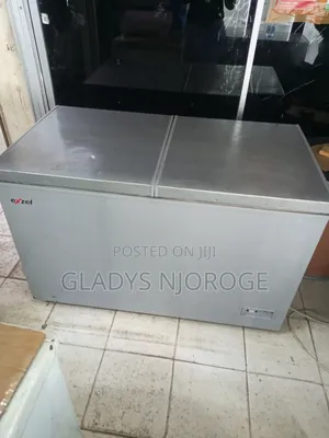Premier Silver Deep Freezer Fridge