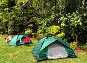 Camping Tents 1-2 People