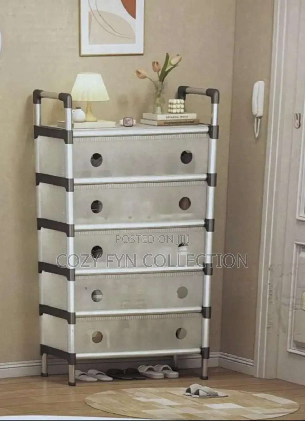 Dust Proof Enclosed Shoerack