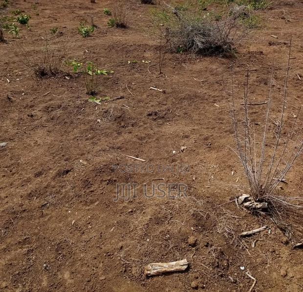 Malindi Plots - thumbnail 2