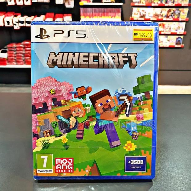 Ps5 Minecraft - main view