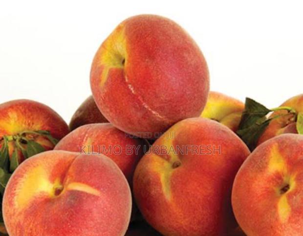 Red Peach Fruit Seedling Moq5 - main view