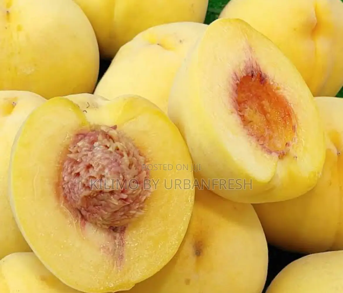 Yellow Peach Fruit Seedling Moq 5