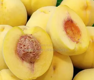 Yellow Peach Fruit Seedling Moq 5