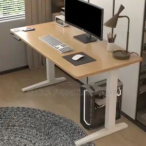 Standing Desk:160cmelectric Streamlined Two-Leg Office Desk