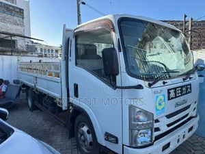 Isuzu Elf 2018 White