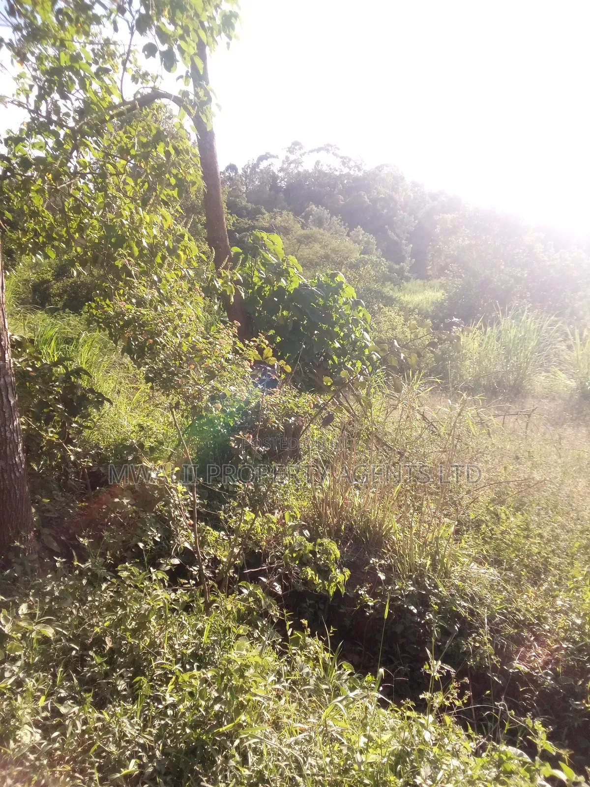 1.5acre ,Mulango, Kitui