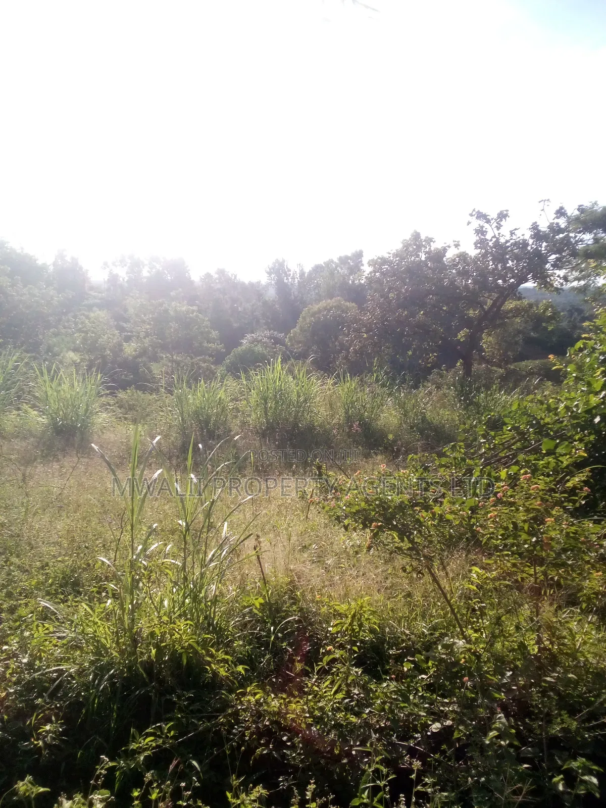 1.5acre ,Mulango, Kitui