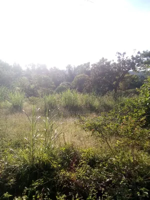 1.5acre ,Mulango, Kitui