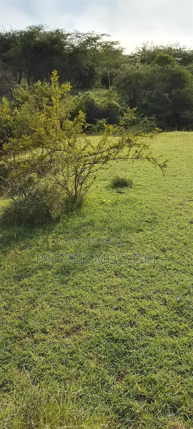 Wamunyu Land - main view