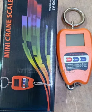 Digital Mini Crane Scale/200kgs