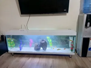 Aquarium Tv Unit