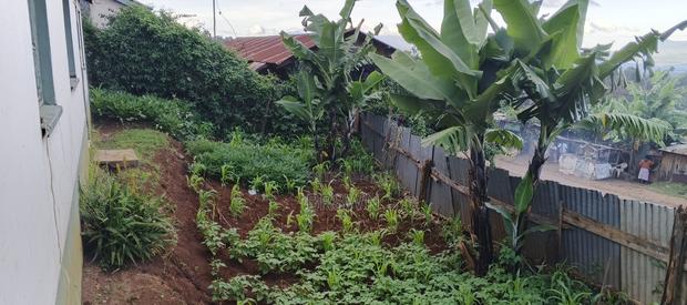 Meru Plot on Sale - thumbnail 5