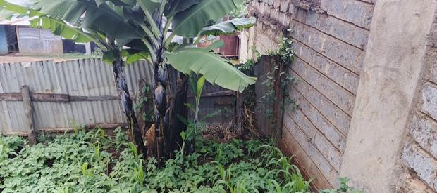 Meru Plot on Sale - thumbnail 7