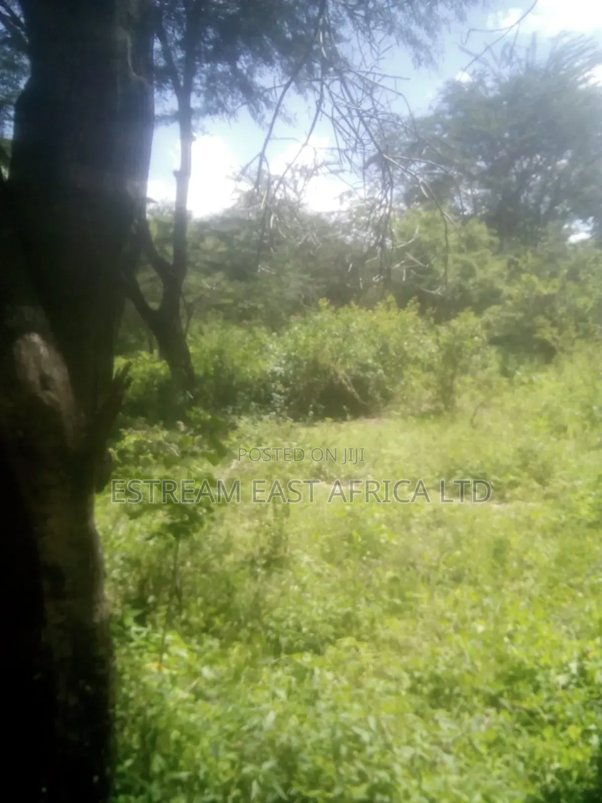 6 Acres Available for Sale at Mbiuni, Machakos County.