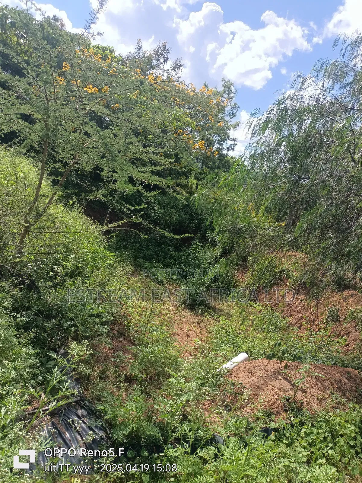 6 Acres Available for Sale at Mbiuni, Machakos County.