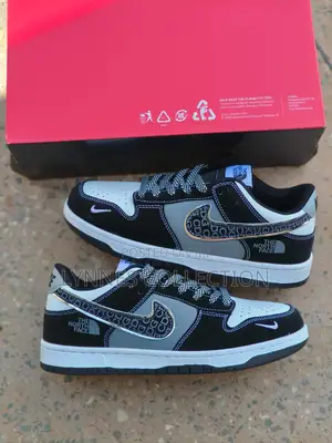 Nike Sb North Face