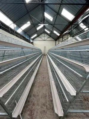 Chicken Cage
