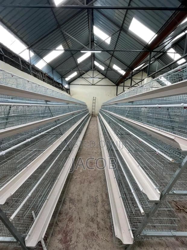 Chicken Cage - thumbnail 5