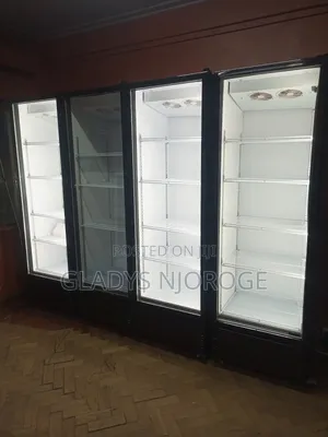 Affordable Chiller in Perfect Working Condition