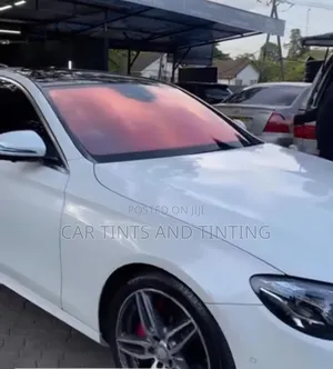 Chameleon Tints