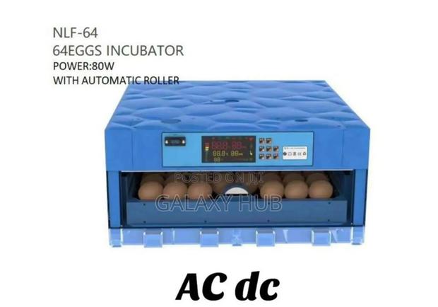 64 Eggs Ac/Dc Automatic Incubator