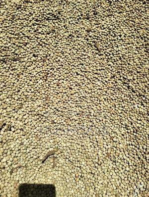 Peas -Minji (Grano) - main view