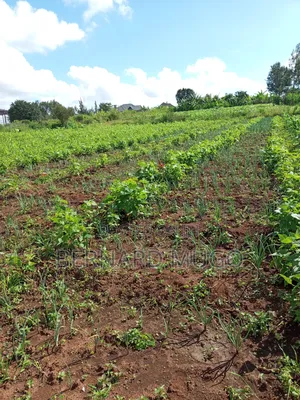 Plot for Sale in Murera Coffee Estate