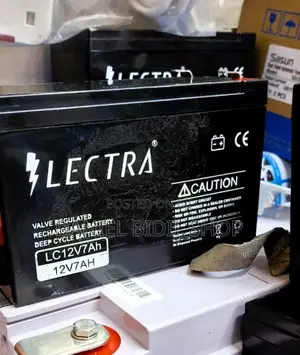 Electra Deep Cycle Backup Battery 12v 7ah