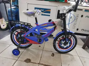 Premier Smart Bike For Kids Age 3yrs Above Sz16