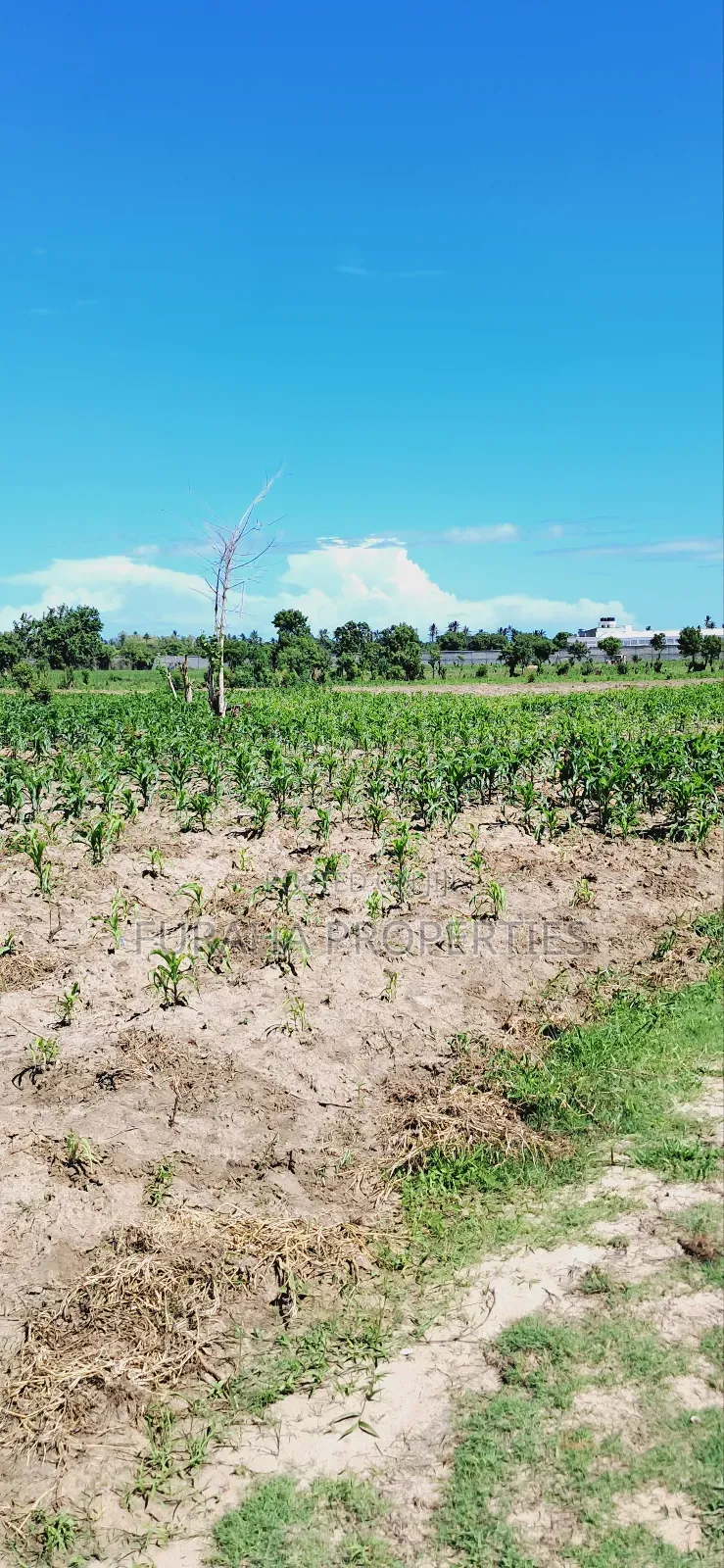 For Sale 80 Acres Land Vipingo