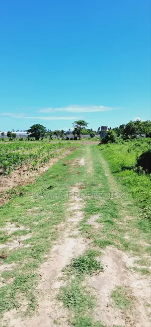 For Sale 80 Acres Land Vipingo