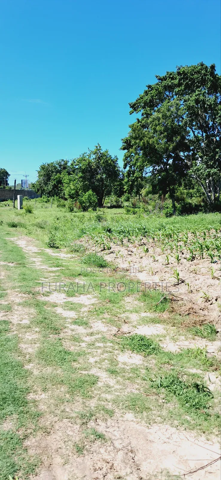 For Sale 80 Acres Land Vipingo
