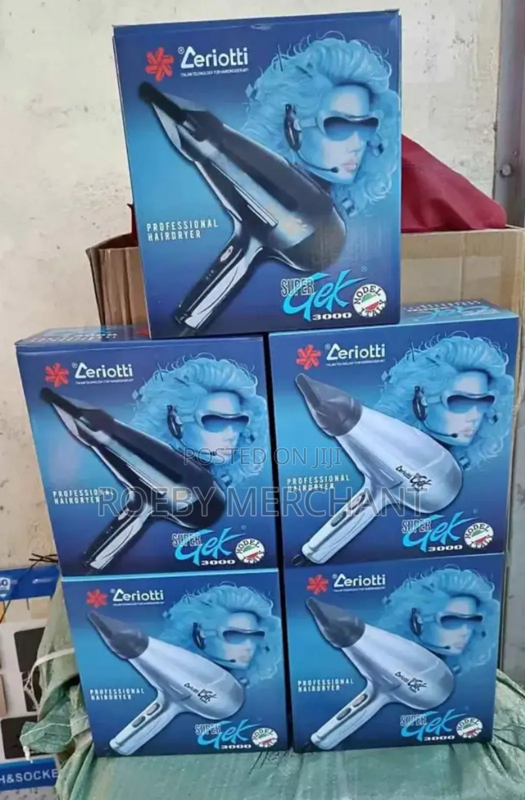 Ceriotti Commercial Hair Dryer/Blowdry Machine