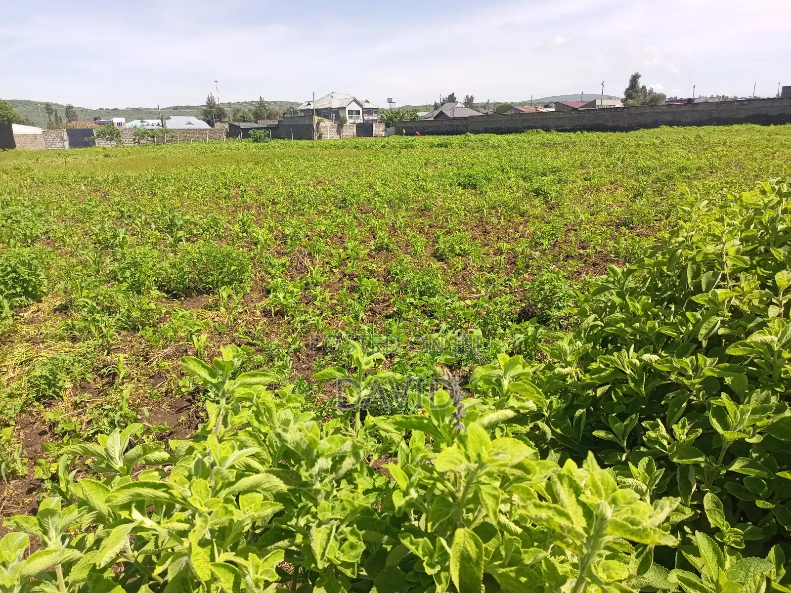 Plot for Sale Jodes Pipeline