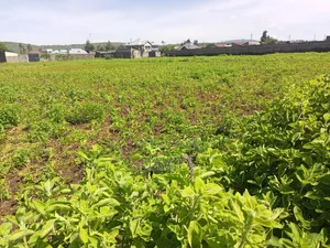 Plot for Sale Jodes Pipeline