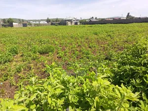 Plot for Sale Jodes Pipeline
