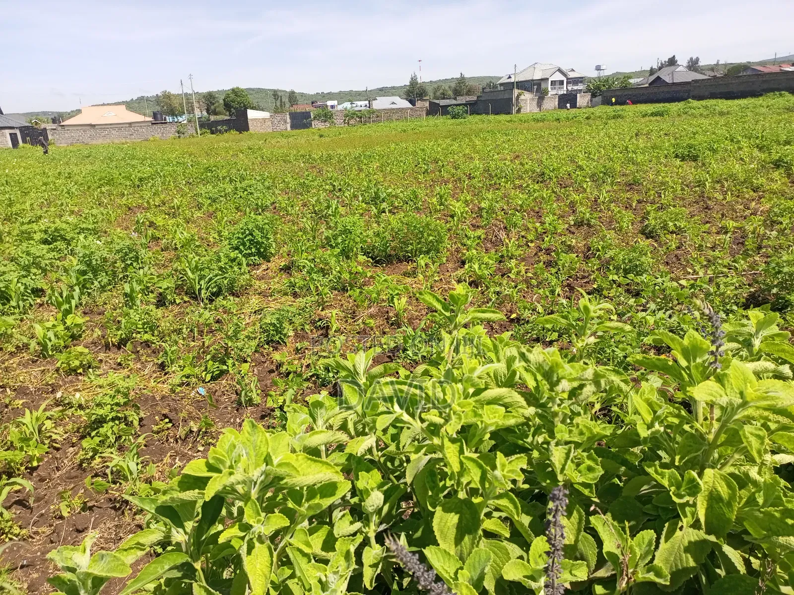 Plot for Sale Jodes Pipeline