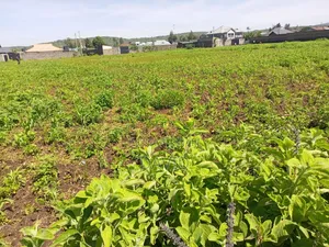 Plot for Sale Jodes Pipeline