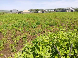 Plot for Sale Jodes Pipeline