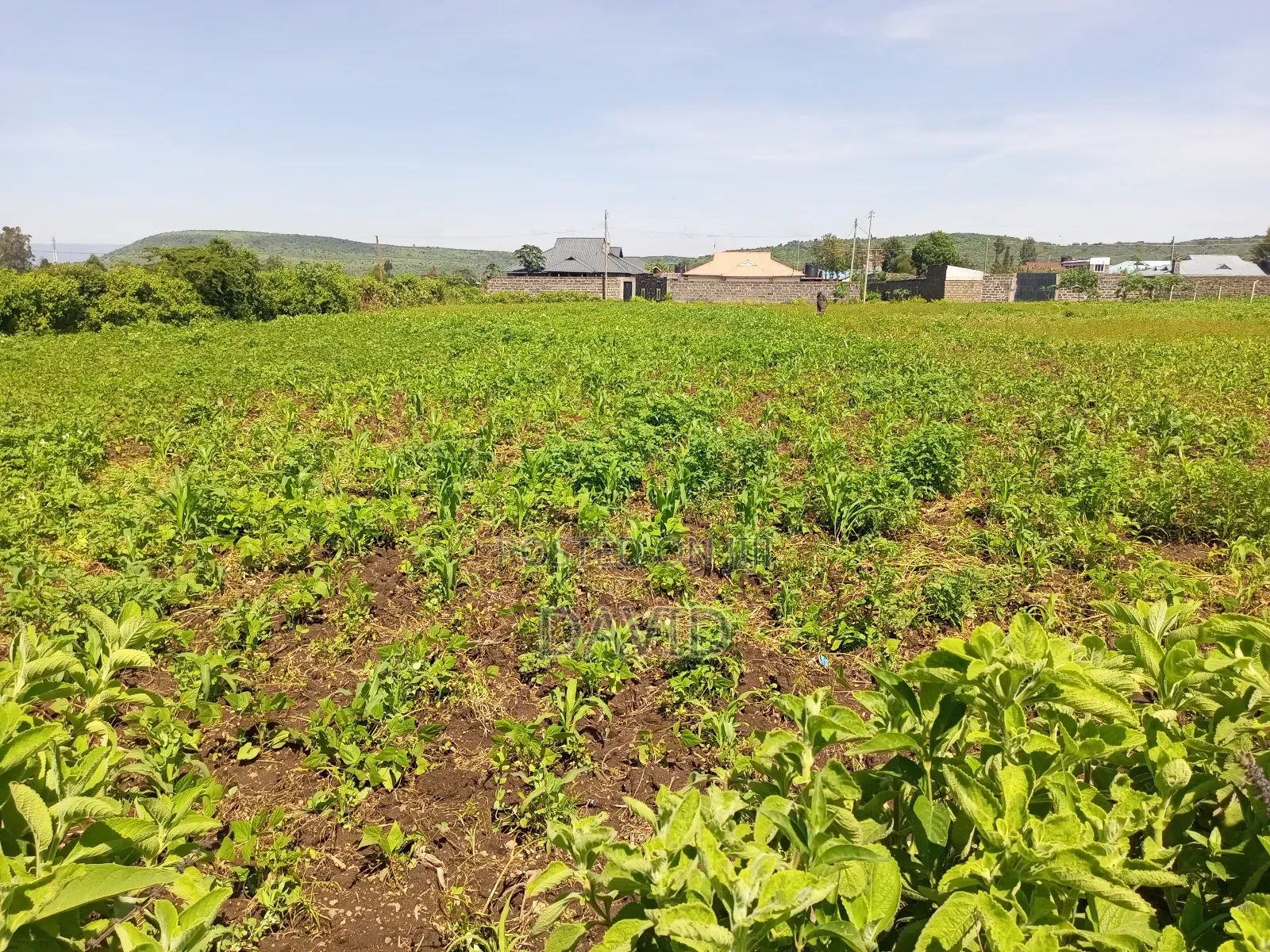 Plot for Sale Jodes Pipeline