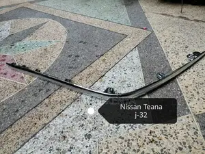 Bumper Moulding, Bumper Crome, Nissan Teana J-31-J32