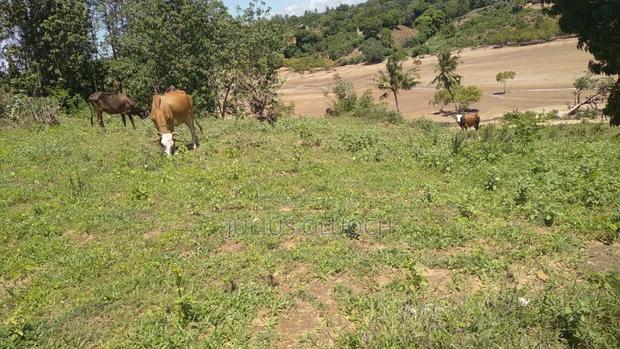 Beautiful View Land on 2 Acres Plot, Shanzu - thumbnail 3