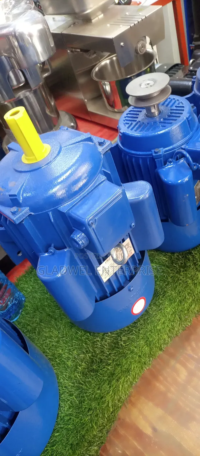 5.5hp Low/High Speed Motor