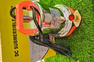 12v 160watts Dc Submersible Pump