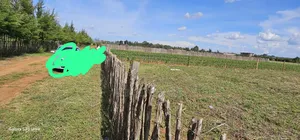 Prime 1⁄4 Plots for Sale in Marura Kimumu in Eldoret
