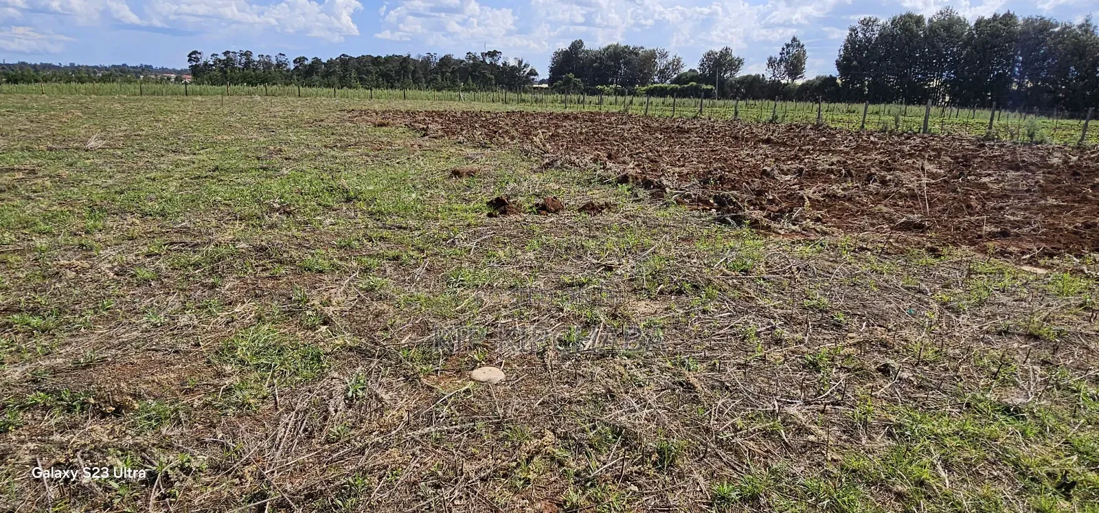 Prime 1⁄4 Plots for Sale in Marura Kimumu in Eldoret